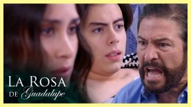 confusión en la familia 4