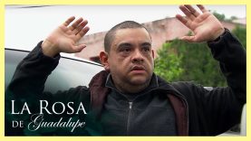 La búsqueda de mi hija