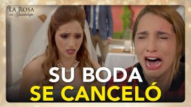 matrimonio cancelado
