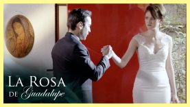 Mejor película del día