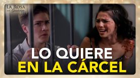 El comportamiento 3