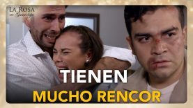 la mejor película del día 4