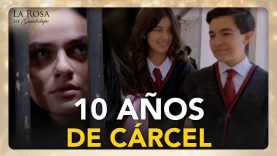 profesor de historia 4