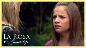 amor a través de internet